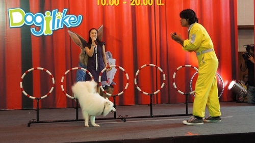 Dogilike.com :: Dogilike Ǿҷ PET EXPO 2012 ͹ 2