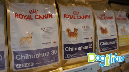 Dogilike.com :: Dogilike Ǿҷ PET EXPO 2012 ͹ 1