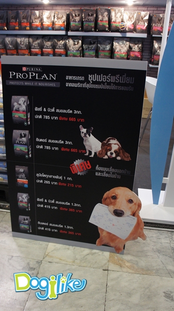 Dogilike.com :: Dogilike Ǿҷ PET EXPO 2012 ͹ 1