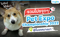 Dogilike พาส่องโปรเด็ด Pet Expo Championship 2022