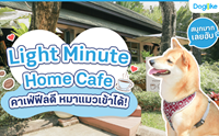 Light Minute Home Cafe ¤Òà¿è¿ÕÅ´Õ ËÁÒáÁÇà¢éÒä´é!