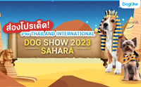 Dogilike ¾ÒÊèÍ§â»Ãà´ç´ THAILAND INTERNATIONAL DOG SHOW 2023
