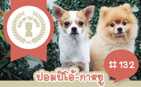 ปอมปิโอ้-กาหยู ดูโอ้คู่แสบประจำบ้าน