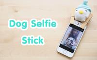 D.I.Y Dog Selfie Stick ˹պ 