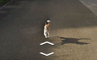เผยภาพชวนยิ้ม! น้องหมาวิ่งตามรถ Google Street View ที่ญี่ปุ่น