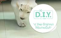 D.I.Y. 4 Step ง่ายๆ ฝึกลูกหมาให้ขับถ่ายเป็นที่