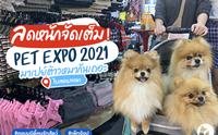 Dogilike พาตะลุย Pet Expo Thailand 2021 มาเปย์ต้าวหมากัน!