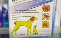 5 วิธีรับมือกับยาเถื่อนในสุนัข