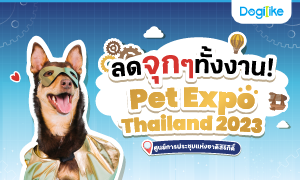 Dogilike ¾ÒµÐÅØÂ PET EXPO THAILAND 2023 Å´¨Ø¡æ·Ñé§§Ò¹! 