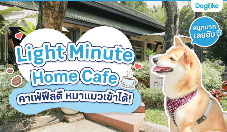 Light Minute Home Cafe Ŵ !