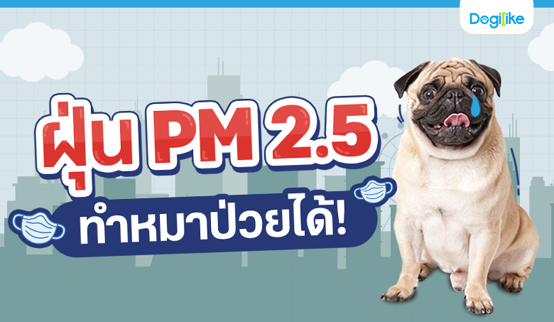  PM 2.5 һ!